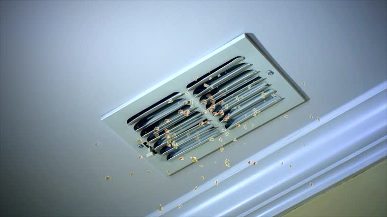 Best HVAC Duct Inspection Services  in Winston Salem, NC